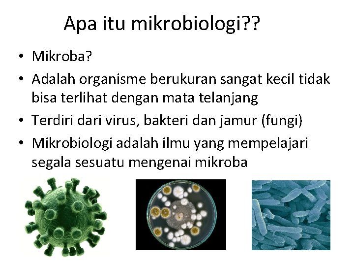 Apa itu mikrobiologi? ? • Mikroba? • Adalah organisme berukuran sangat kecil tidak bisa