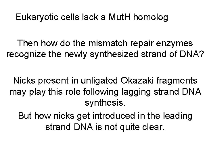 Eukaryotic cells lack a Mut. H homolog Then how do the mismatch repair enzymes