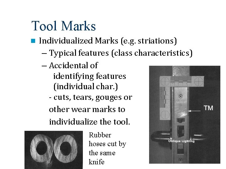 Tool Marks Individualized Marks (e. g. striations) – Typical features (class characteristics) – Accidental