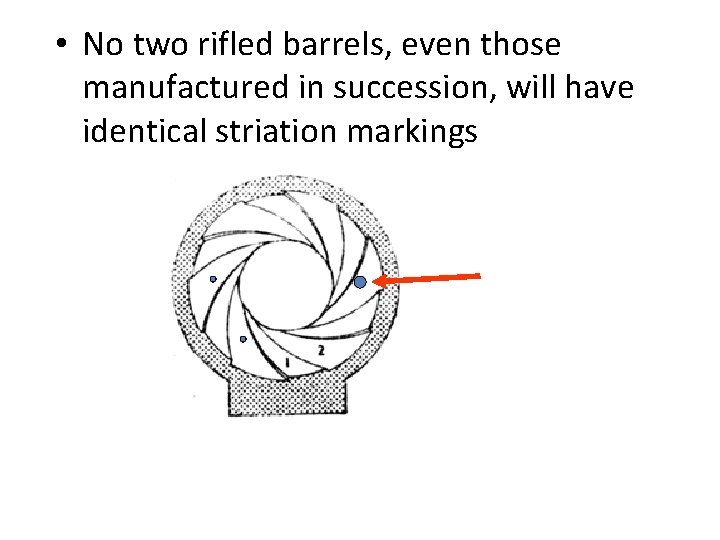  • No two rifled barrels, even those manufactured in succession, will have identical