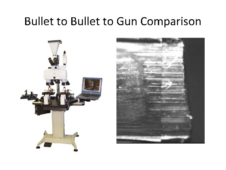 Bullet to Gun Comparison 