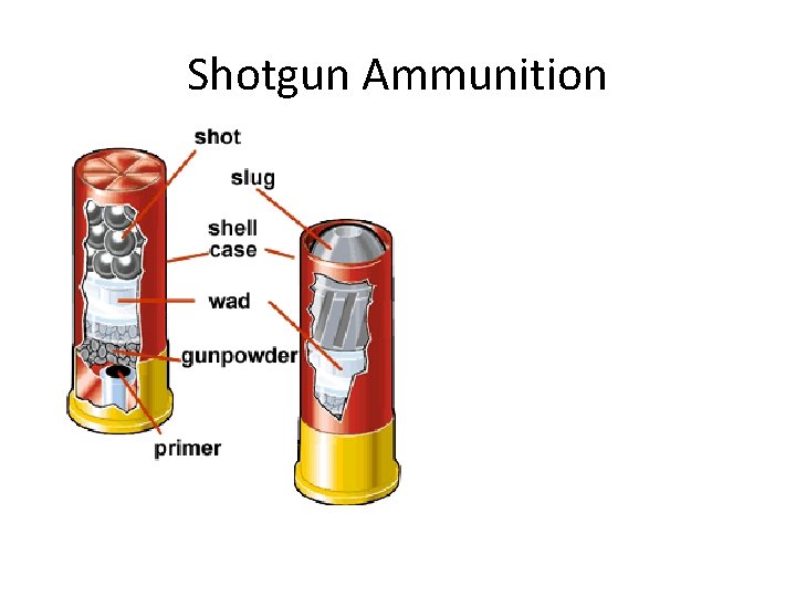 Shotgun Ammunition Weigh and measure diameter of shot pellets 