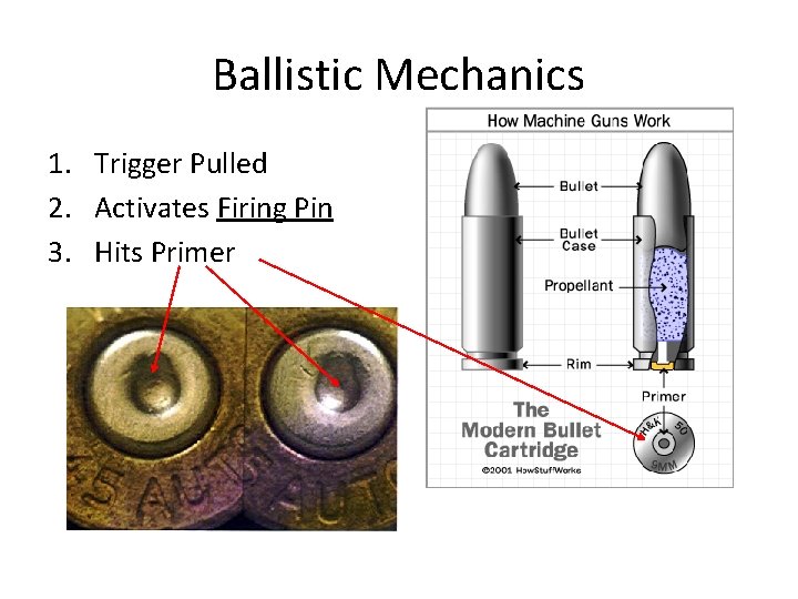 Ballistic Mechanics 1. Trigger Pulled 2. Activates Firing Pin 3. Hits Primer 