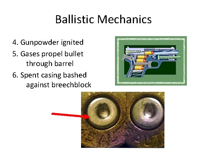 Ballistic Mechanics 4. Gunpowder ignited 5. Gases propel bullet through barrel 6. Spent casing