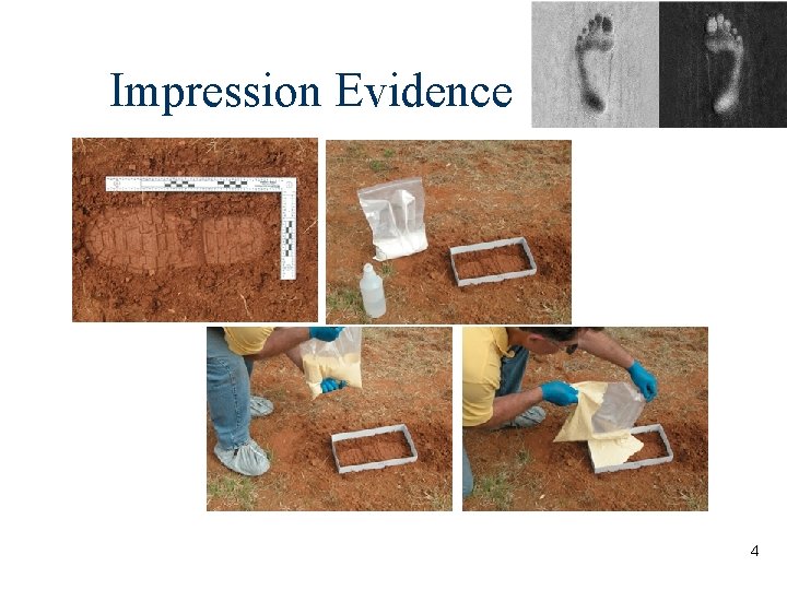 Impression Evidence 4 