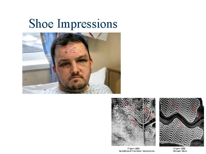 Shoe Impressions 6 