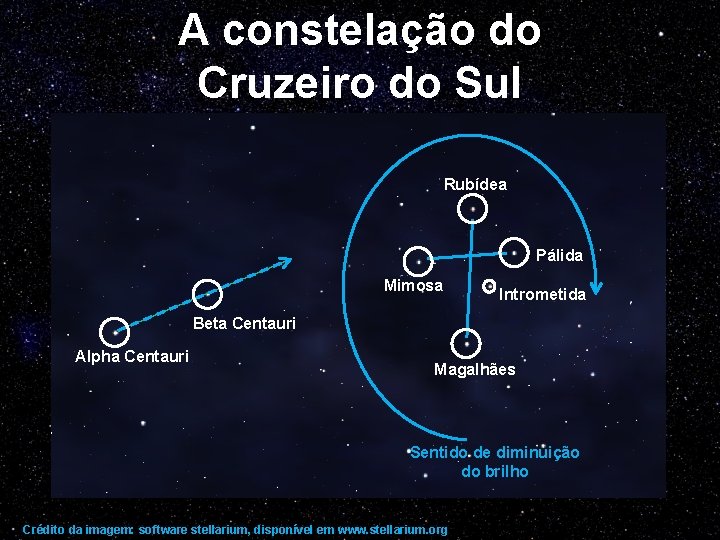 A constelação do Cruzeiro do Sul Rubídea Pálida Mimosa Intrometida Beta Centauri Alpha Centauri