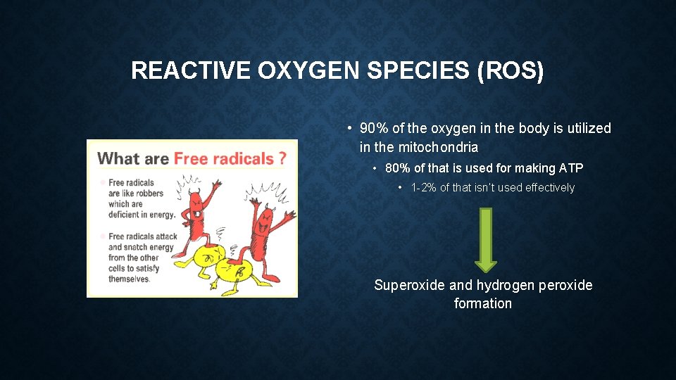 REACTIVE OXYGEN SPECIES (ROS) • 90% of the oxygen in the body is utilized