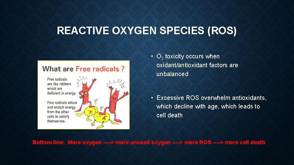 REACTIVE OXYGEN SPECIES (ROS) • O 2 toxicity occurs when oxidant/antioxidant factors are unbalanced