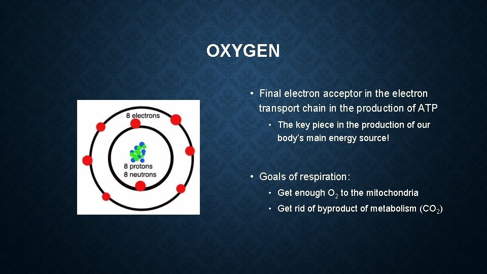 OXYGEN • Final electron acceptor in the electron transport chain in the production of