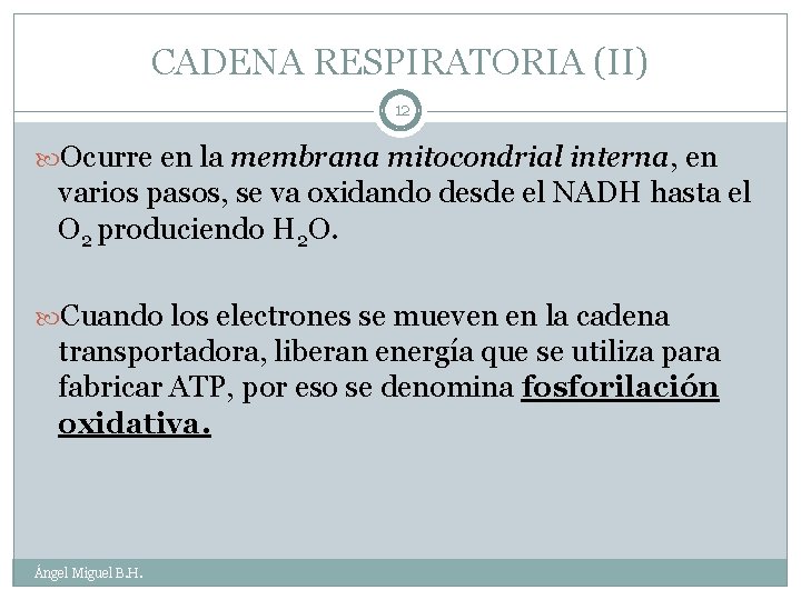 CADENA RESPIRATORIA (II) 12 Ocurre en la membrana mitocondrial interna, en varios pasos, se