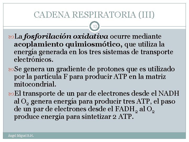 CADENA RESPIRATORIA (III) 13 La fosforilación oxidativa ocurre mediante acoplamiento quimiosmótico, que utiliza la