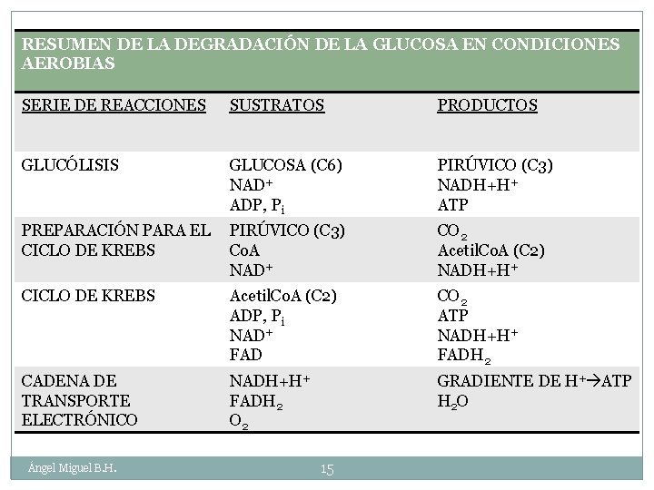 RESUMEN DE LA DEGRADACIÓN DE LA GLUCOSA EN CONDICIONES AEROBIAS SERIE DE REACCIONES SUSTRATOS