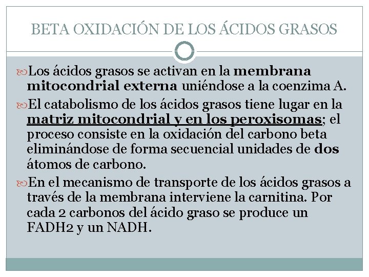 BETA OXIDACIÓN DE LOS ÁCIDOS GRASOS Los ácidos grasos se activan en la membrana