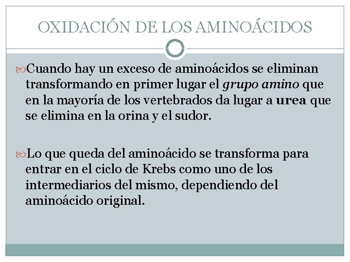 OXIDACIÓN DE LOS AMINOÁCIDOS Cuando hay un exceso de aminoácidos se eliminan transformando en
