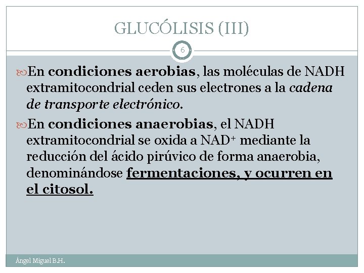 GLUCÓLISIS (III) 6 En condiciones aerobias, las moléculas de NADH extramitocondrial ceden sus electrones