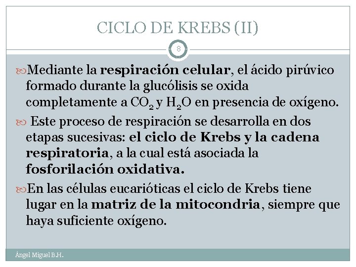 CICLO DE KREBS (II) 8 Mediante la respiración celular, el ácido pirúvico formado durante