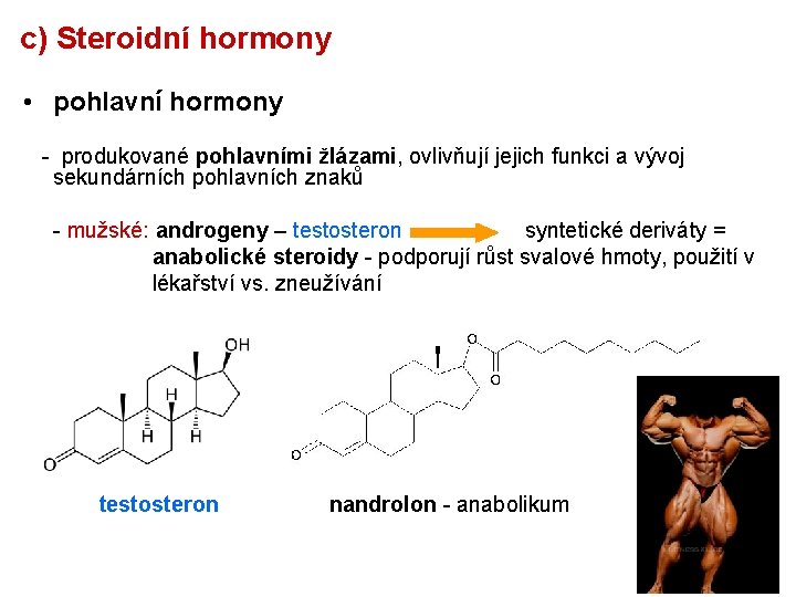 c) Steroidní hormony • pohlavní hormony - produkované pohlavními žlázami, ovlivňují jejich funkci a