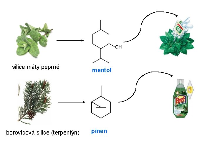 silice máty peprné borovicová silice (terpentýn) mentol pinen 