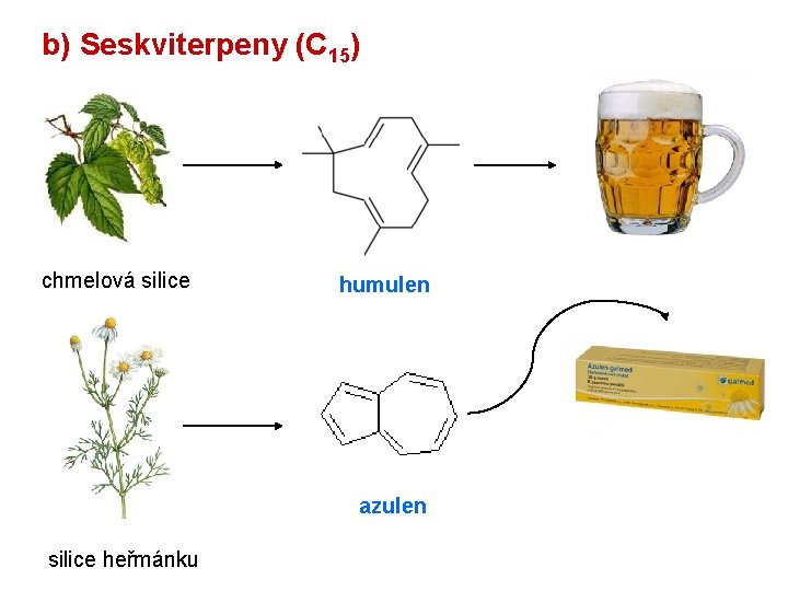 b) Seskviterpeny (C 15) chmelová silice humulen azulen silice heřmánku 