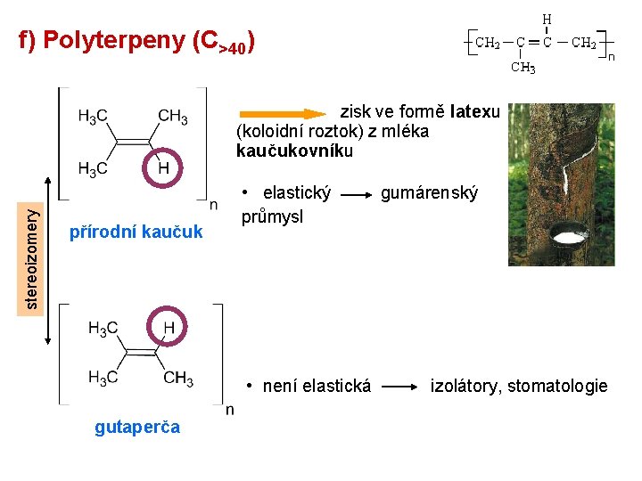 f) Polyterpeny (C>40) stereoizomery zisk ve formě latexu (koloidní roztok) z mléka kaučukovníku přírodní