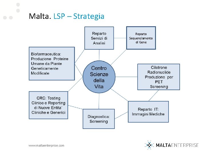 Malta. LSP – Strategia Reparto Sequenziamento di Gene www. maltaenterprise. com 