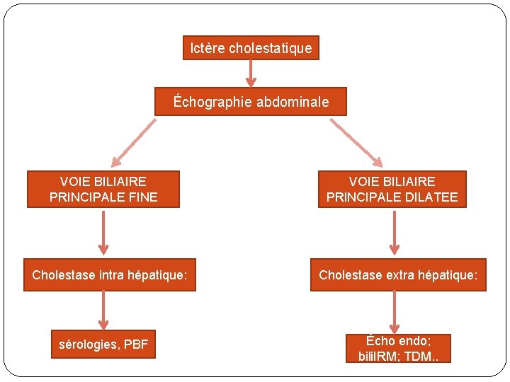 Ictère cholestatique Échographie abdominale VOIE BILIAIRE PRINCIPALE FINE Cholestase intra hépatique: sérologies, PBF VOIE