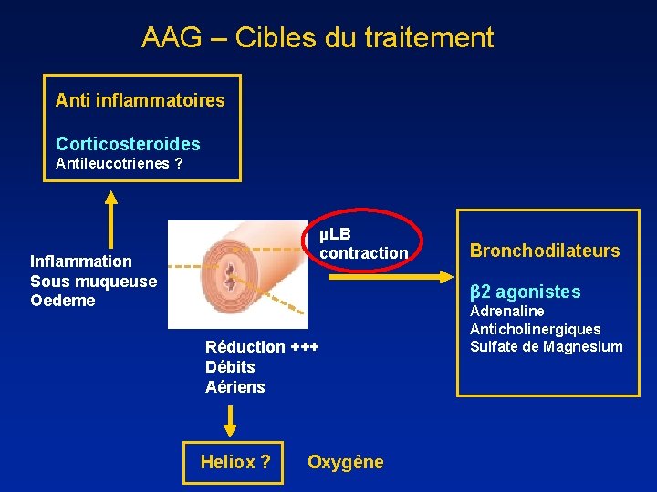 AAG – Cibles du traitement Anti inflammatoires Corticosteroides Antileucotrienes ? µLB contraction Inflammation Sous