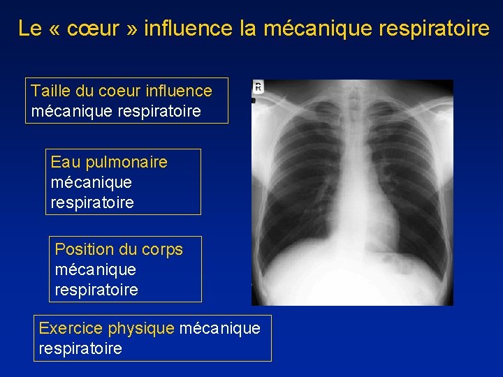 Le « cœur » influence la mécanique respiratoire Taille du coeur influence mécanique respiratoire