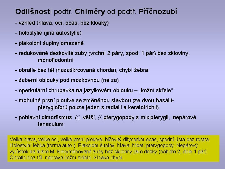 Odlišnosti podtř. Chiméry od podtř. Příčnozubí - vzhled (hlava, oči, ocas, bez kloaky) -