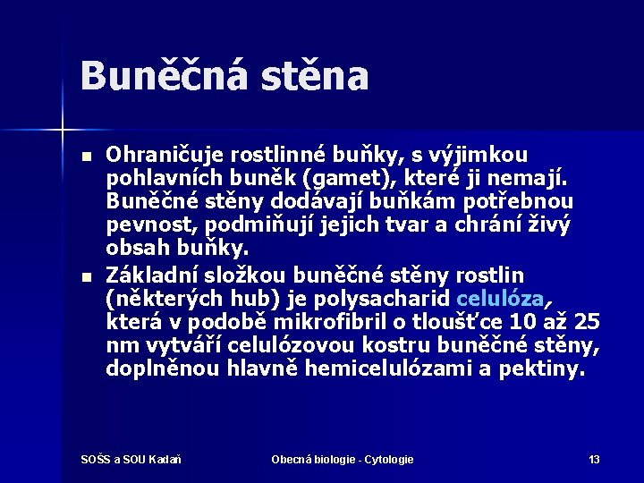 Buněčná stěna n n Ohraničuje rostlinné buňky, s výjimkou pohlavních buněk (gamet), které ji