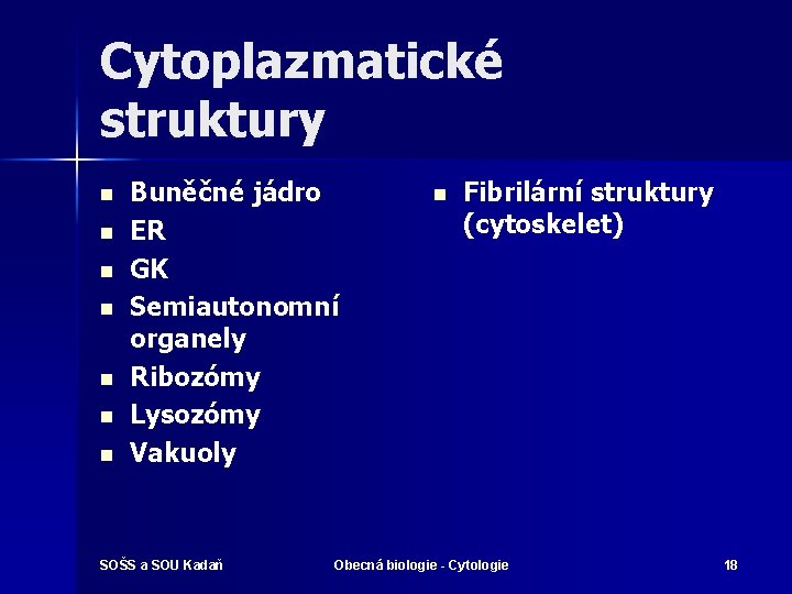 Cytoplazmatické struktury n n n n Buněčné jádro ER GK Semiautonomní organely Ribozómy Lysozómy