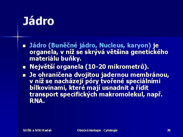 Jádro n n n Jádro (Buněčné jádro, Nucleus, karyon) je organela, v níž se