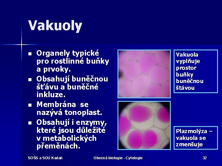 Vakuoly n n Organely typické pro rostlinné buňky a prvoky. Obsahují buněčnou šťávu a