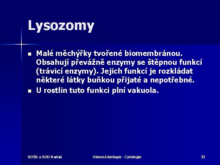 Lysozomy n n Malé měchýřky tvořené biomembránou. Obsahují převážně enzymy se štěpnou funkcí (trávicí