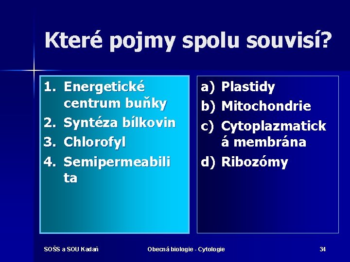 Které pojmy spolu souvisí? 1. Energetické centrum buňky 2. Syntéza bílkovin 3. Chlorofyl 4.