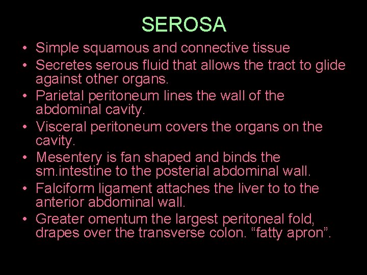 SEROSA • Simple squamous and connective tissue • Secretes serous fluid that allows the