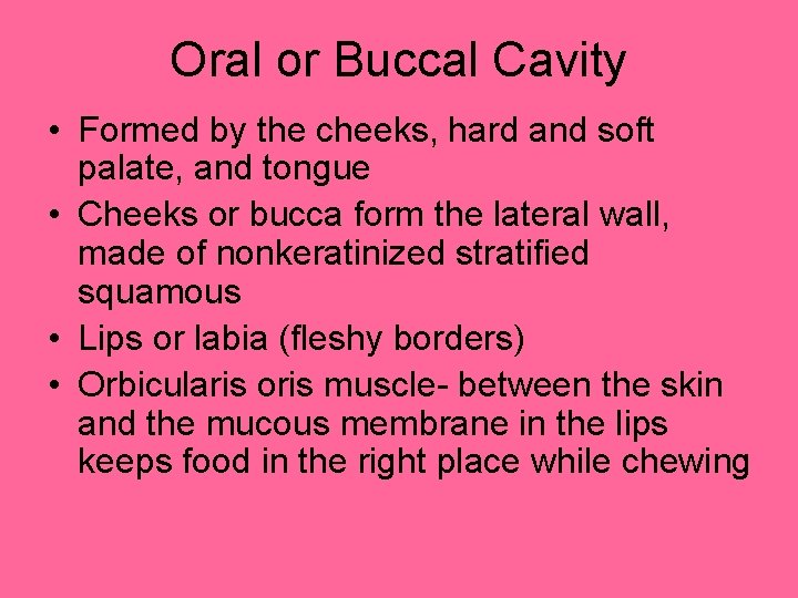 Oral or Buccal Cavity • Formed by the cheeks, hard and soft palate, and