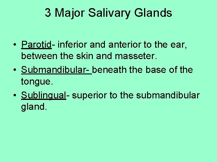 3 Major Salivary Glands • Parotid- inferior and anterior to the ear, between the