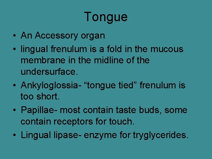Tongue • An Accessory organ • lingual frenulum is a fold in the mucous