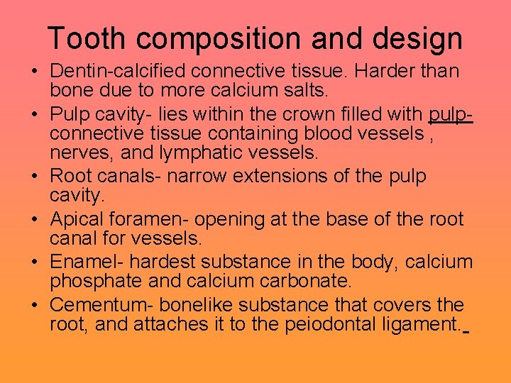 Tooth composition and design • Dentin-calcified connective tissue. Harder than bone due to more