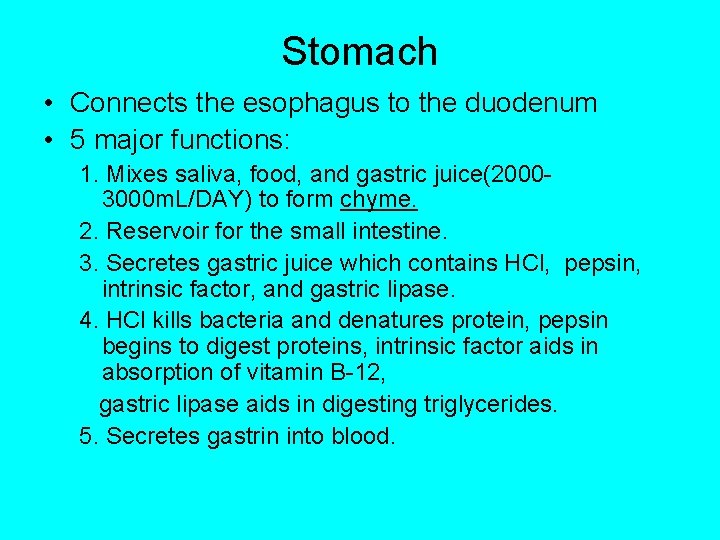 Stomach • Connects the esophagus to the duodenum • 5 major functions: 1. Mixes