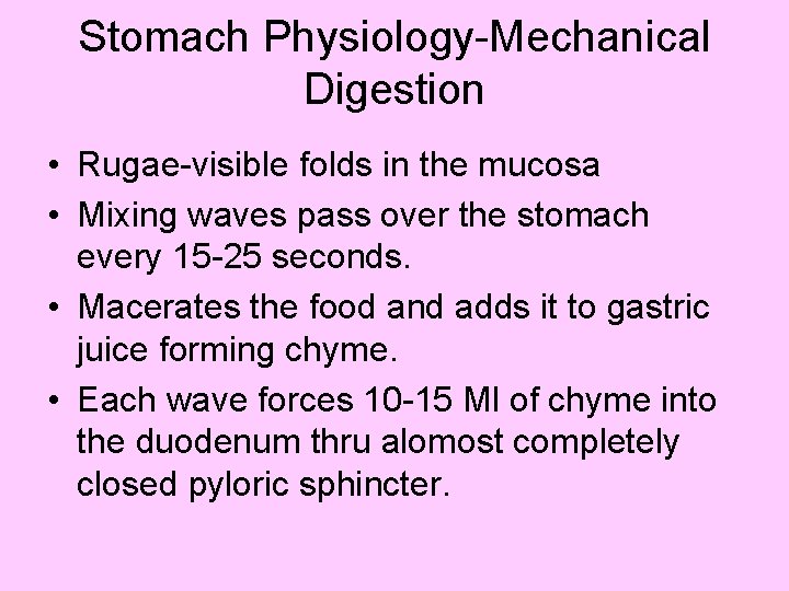 Stomach Physiology-Mechanical Digestion • Rugae-visible folds in the mucosa • Mixing waves pass over