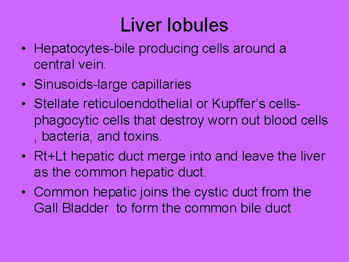 Liver lobules • Hepatocytes-bile producing cells around a central vein. • Sinusoids-large capillaries •