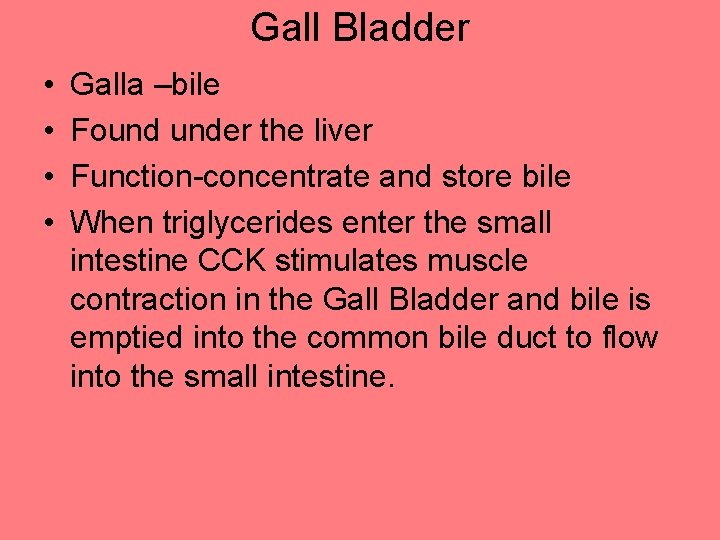 Gall Bladder • • Galla –bile Found under the liver Function-concentrate and store bile