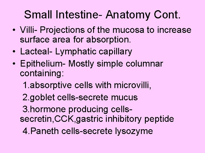 Small Intestine- Anatomy Cont. • Villi- Projections of the mucosa to increase surface area