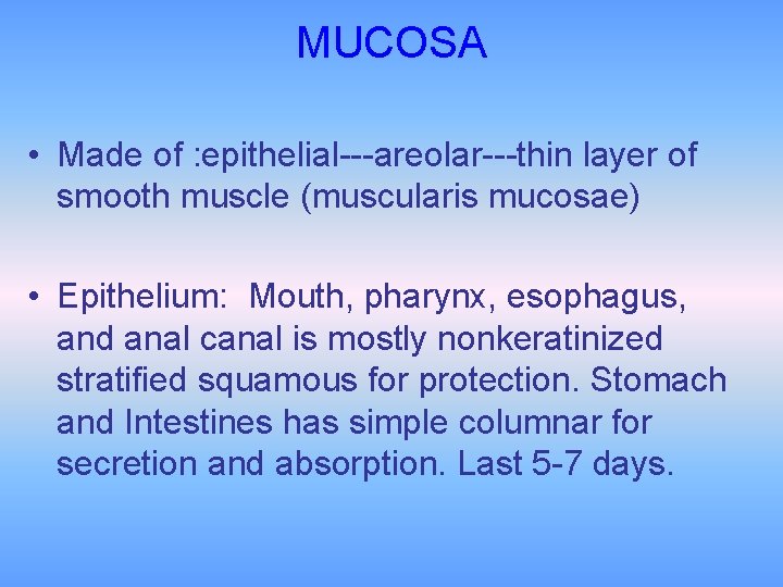 MUCOSA • Made of : epithelial---areolar---thin layer of smooth muscle (muscularis mucosae) • Epithelium: