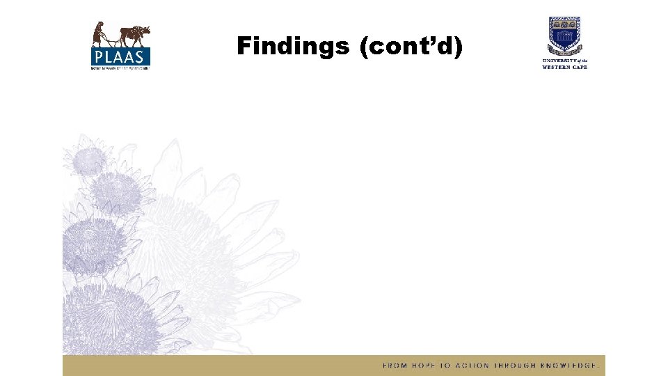 Findings (cont’d) 