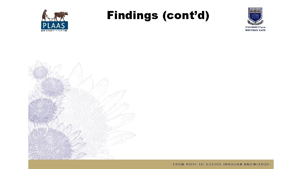 Findings (cont’d) 