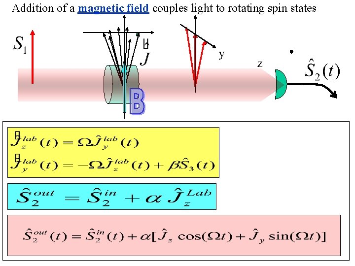 Addition of a magnetic field couples light to rotating spin states y z Atomic